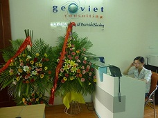 GeoViet Company